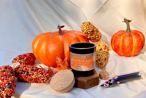 Pumpkin Patch Soy Wax Lotion Candle 8 oz.